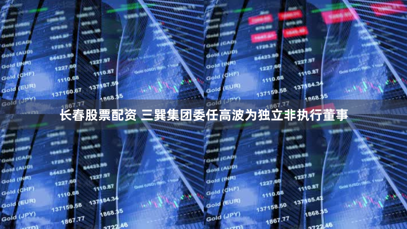 长春股票配资 三巽集团委任高波为独立非执行董事
