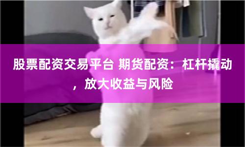 股票配资交易平台 期货配资：杠杆撬动，放大收益与风险