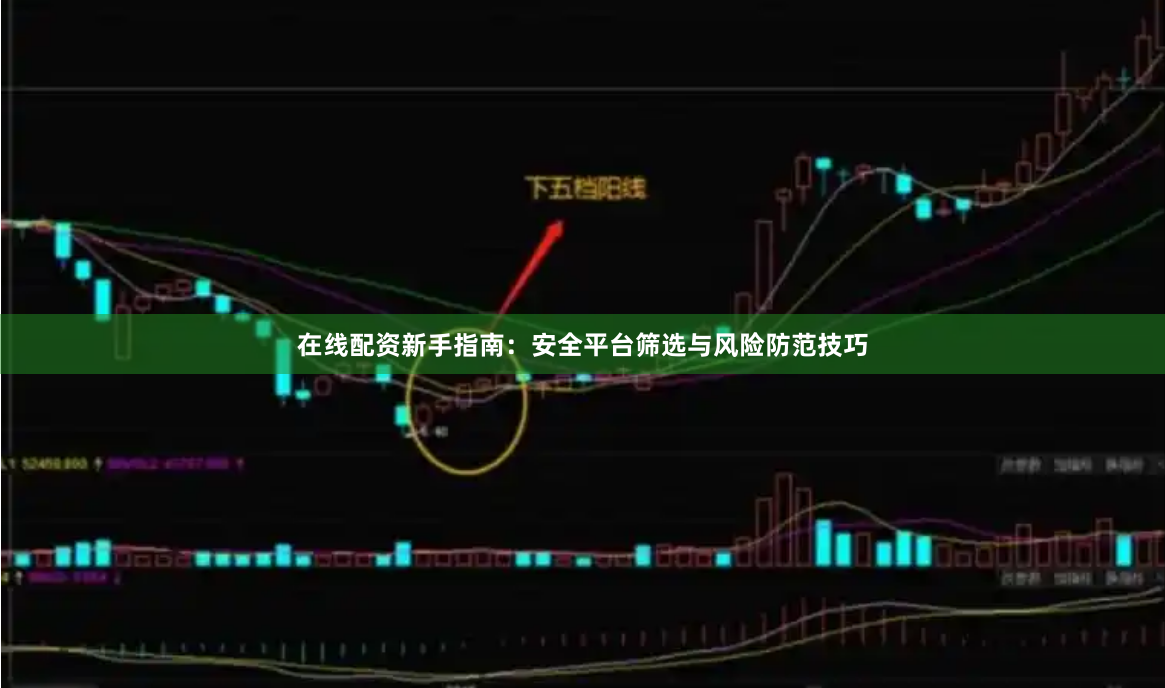 在线配资新手指南：安全平台筛选与风险防范技巧