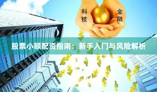 股票小额配资指南：新手入门与风险解析